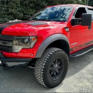 2014 Ford F-150 Shelby Baja Raptor