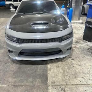 16 cat slim body