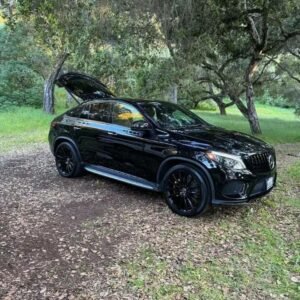 2019 Mercedes-Benz AMG GLE coupe 43
